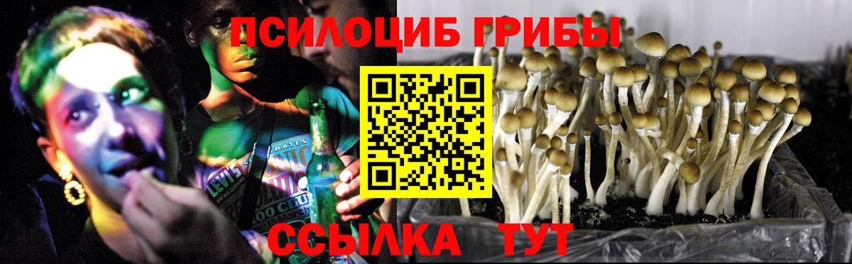 Псилоцибиновые грибы Cubensis  Галлюциногенные грибы Psilocybine cubensis  Жигулёвск  Вход с VPN 